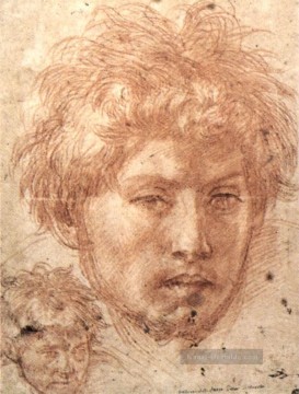 Kopf eines jungen Mannes Renaissance Manierismus Andrea del Sarto Ölgemälde